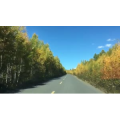 旅行风景4788