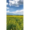 旅行风景4789