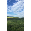 旅行风景4793