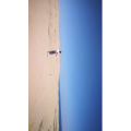 旅行风景4813