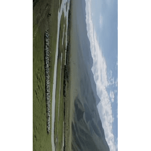 旅行风景4815