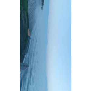 旅行风景4822