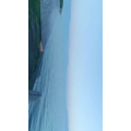 旅行风景4822