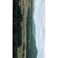 旅行风景4827