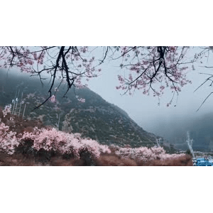 旅行风景4877