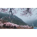 旅行风景4877