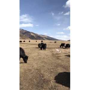 旅行风景4894