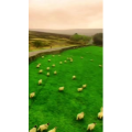旅行风景4903
