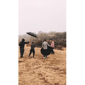 旅行风景4904