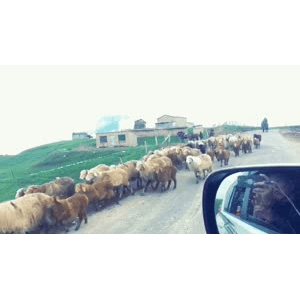 旅行风景4908