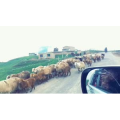 旅行风景4908