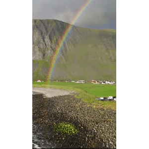 旅行风景4919