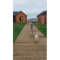 旅行风景4974