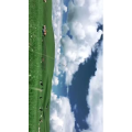 旅行风景4982