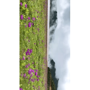 旅行风景4985