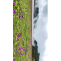 旅行风景4985