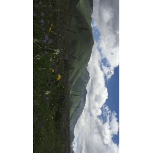 旅行风景4993
