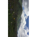 旅行风景4993