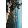 旅行风景4995