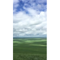 旅行风景5002