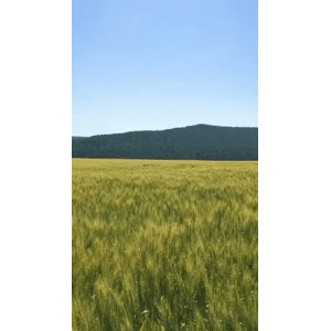 旅行风景5028