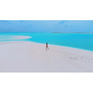 旅行风景5052