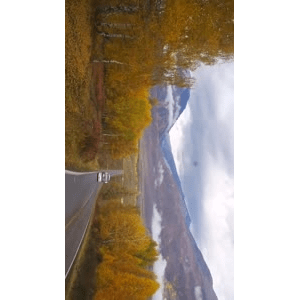 旅行风景5053