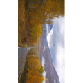 旅行风景5053