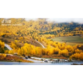 旅行风景5057