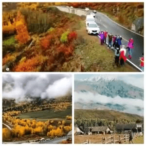 旅行风景5066