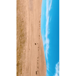 旅行风景5071