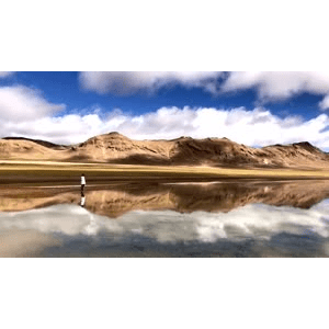 旅行风景5115