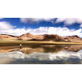 旅行风景5115