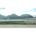 旅行风景5117