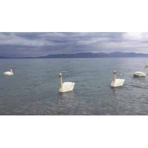 旅行风景5119