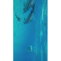 旅行风景5122