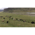 旅行风景5127