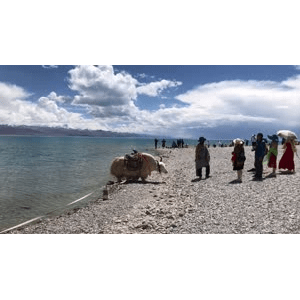 旅行风景5143