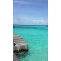 旅行风景5161