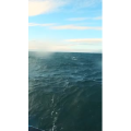 旅行风景5165