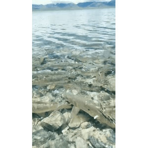 旅行风景5168