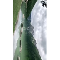 旅行风景5184
