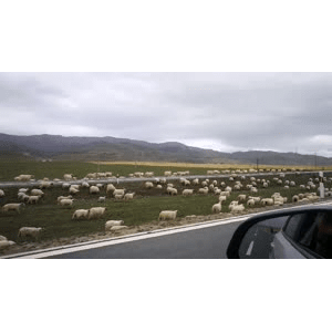 旅行风景5188