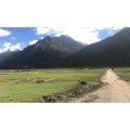 旅行风景5196