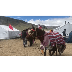 旅行风景5206