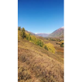 旅行风景5210