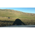 旅行风景5225