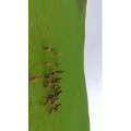 旅行风景5226