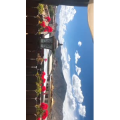 旅行风景5235