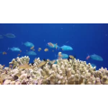 旅行风景5259